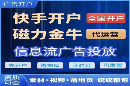 百度移动端应用推广策略探讨